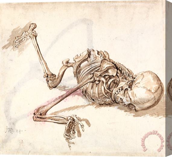 James Ward A Human Skeleton 2 Stretched Canvas Print / Canvas Art