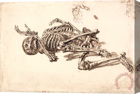 James Ward A Human Skeleton Stretched Canvas Print / Canvas Art