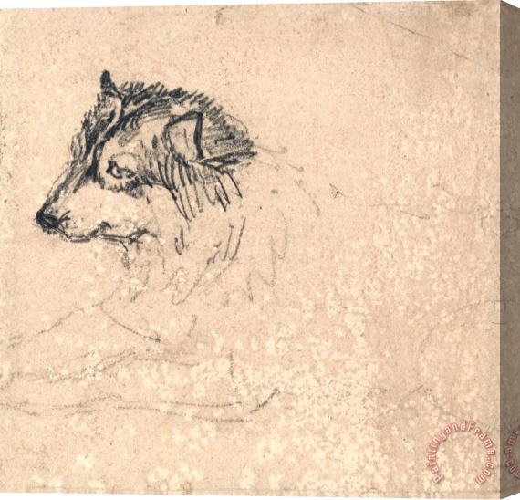 James Ward Arctic Dog, Facing Left Stretched Canvas Print / Canvas Art