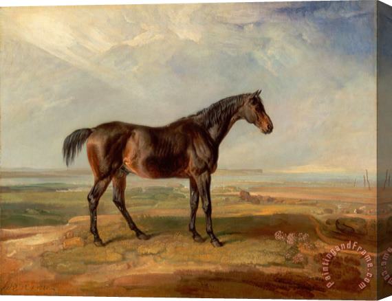 James Ward Dr. Syntax, a Bay Racehorse, Standing in a Coastal Landscape, an Estuary Beyond Stretched Canvas Painting / Canvas Art