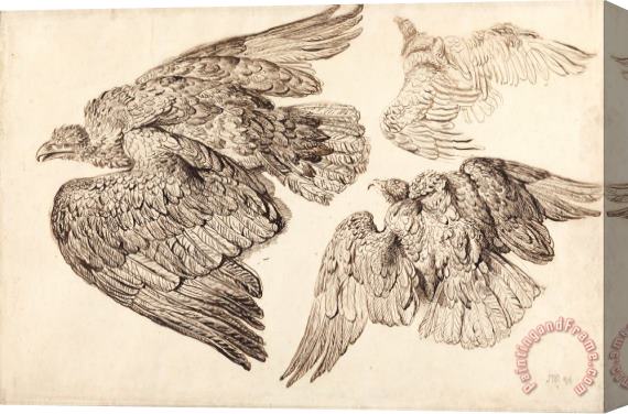 James Ward Eagles Stretched Canvas Print / Canvas Art