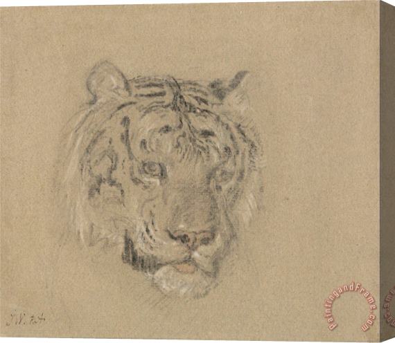 James Ward Head of a Tiger Stretched Canvas Print / Canvas Art