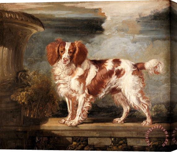 James Ward Portrait of Dash, a Favourite Spaniel, The Property of Lady Frances Vane Tempest Stretched Canvas Print / Canvas Art