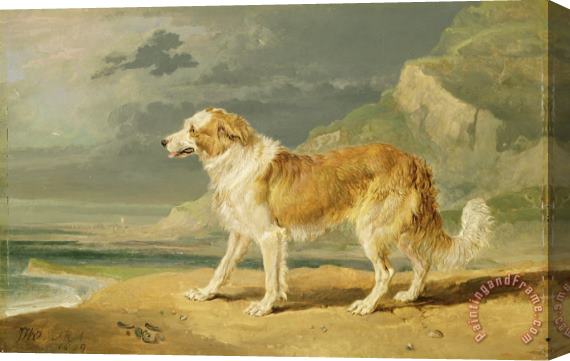 James Ward Rough-coated Collie Stretched Canvas Painting / Canvas Art
