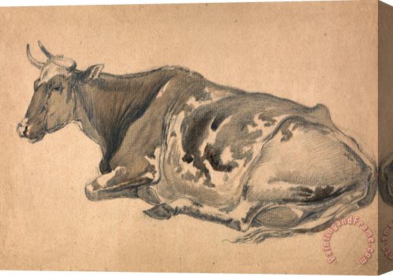 James Ward Study of a Cow Stretched Canvas Print / Canvas Art