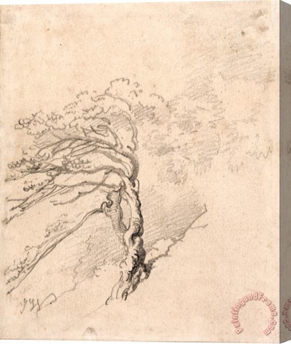 James Ward Tree on a Hillside Stretched Canvas Print / Canvas Art