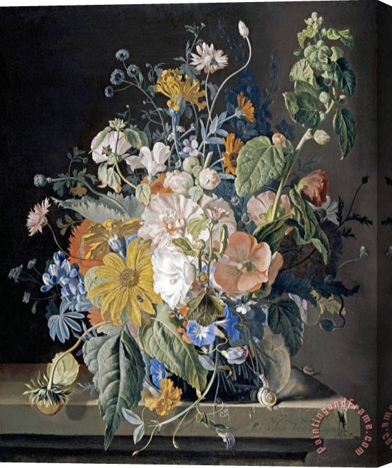 Jan Van Huysum Poppies, Hollyhock, Morning Glory, Viola, Daisies Stretched Canvas Print / Canvas Art
