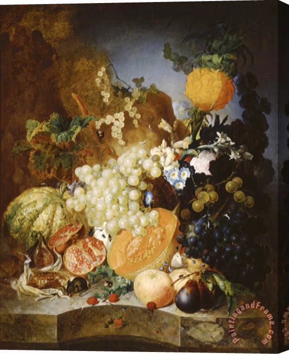 Jan van Os Still Life with Fruit Stretched Canvas Painting / Canvas Art