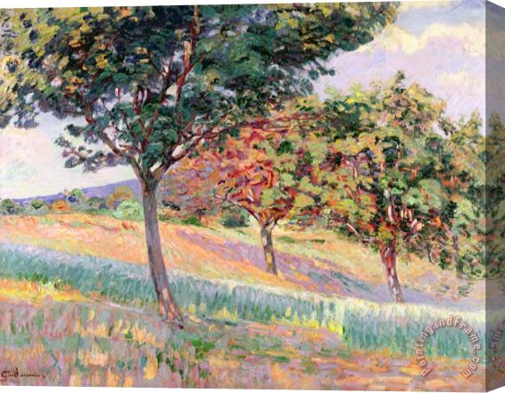 Jean Baptiste Armand Guillaumin Orchard At St Cheron Stretched Canvas Painting / Canvas Art