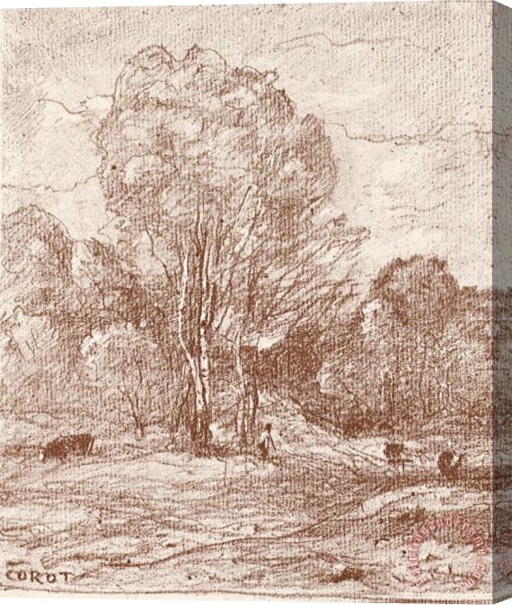 Jean Baptiste Camille Corot Le Dormoir Des Vaches (the Cow Pasture) Stretched Canvas Print / Canvas Art