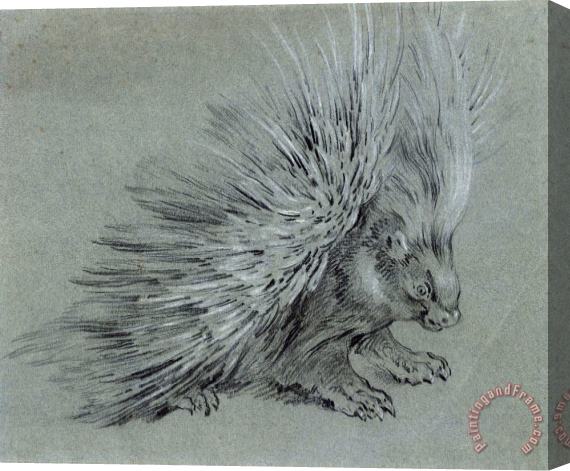 Jean Baptiste Oudry Porcupine Stretched Canvas Print / Canvas Art