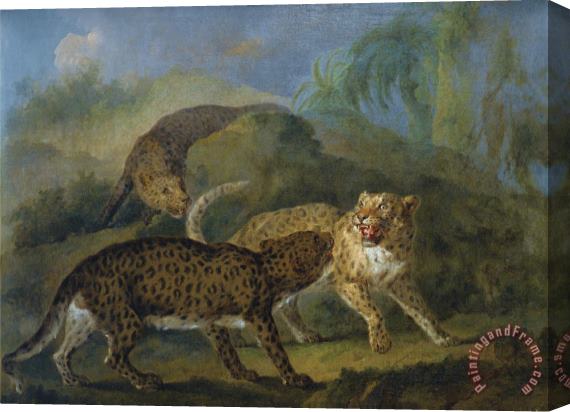 Jean Baptiste Oudry Trois Leopards Stretched Canvas Painting / Canvas Art