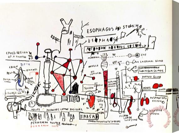 Jean-michel Basquiat Pelptic Ulcer Stretched Canvas Print / Canvas Art