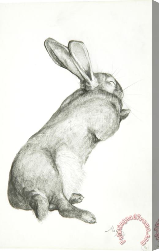 Jeanne Maze Rabbit Sleeping Stretched Canvas Print / Canvas Art