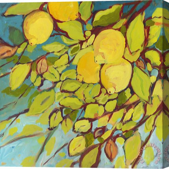 Jennifer Lommers Five Lemons Stretched Canvas Painting / Canvas Art