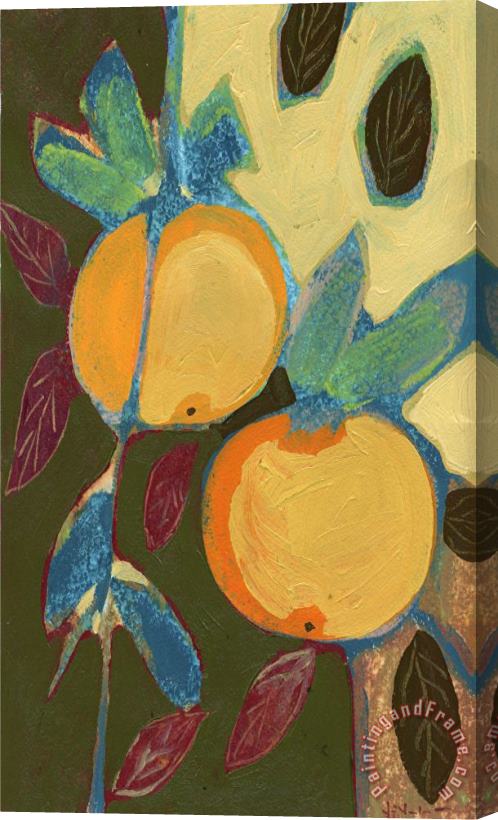 Jennifer Lommers Two Oranges Stretched Canvas Print / Canvas Art