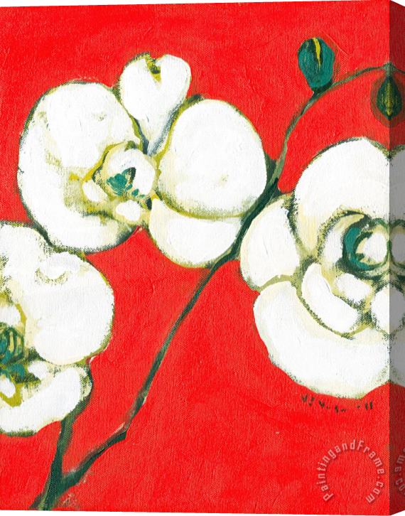 Jennifer Lommers White Orchid Stretched Canvas Painting / Canvas Art