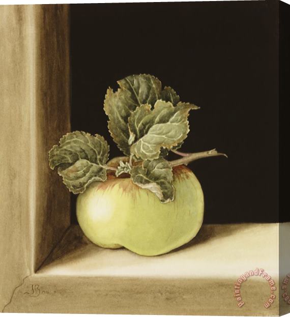 Jenny Barron Apple Stretched Canvas Painting / Canvas Art