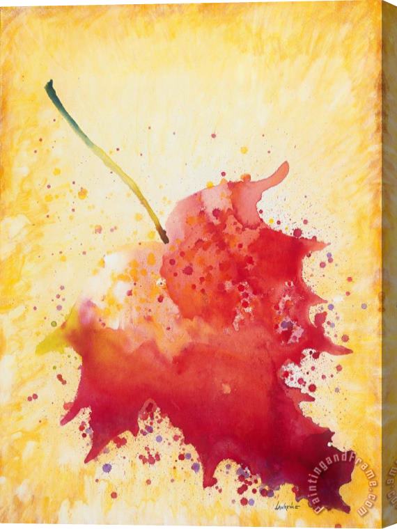 Jerome Lawrence Red Leaf Stretched Canvas Painting / Canvas Art