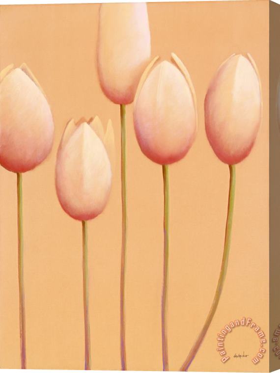 Jerome Lawrence Tulips are People X Stretched Canvas Print / Canvas Art