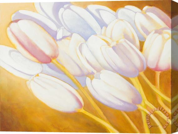 Jerome Lawrence Tulips are People XII h Stretched Canvas Painting / Canvas Art