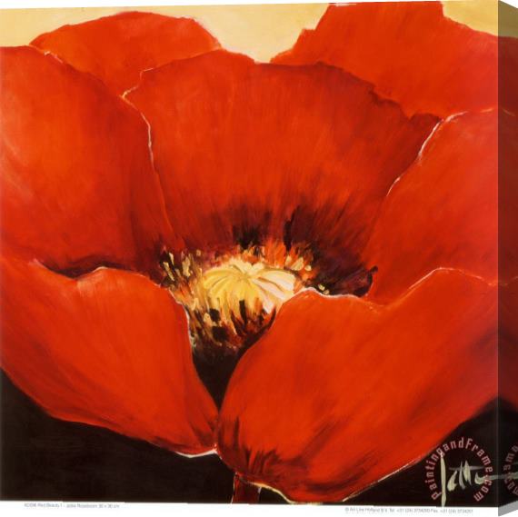 Jettie Roseboom Red Beauty I Stretched Canvas Painting / Canvas Art