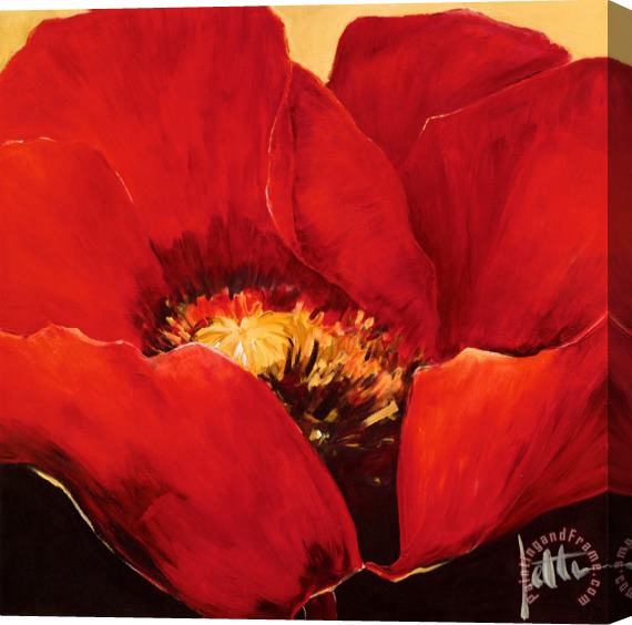 Jettie Roseboom Red Beauty II Stretched Canvas Painting / Canvas Art