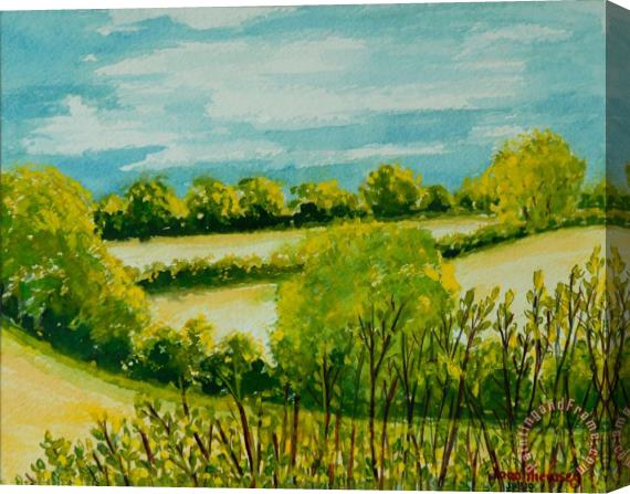 Joan Thewsey August Landscape Suffolk Stretched Canvas Painting / Canvas Art