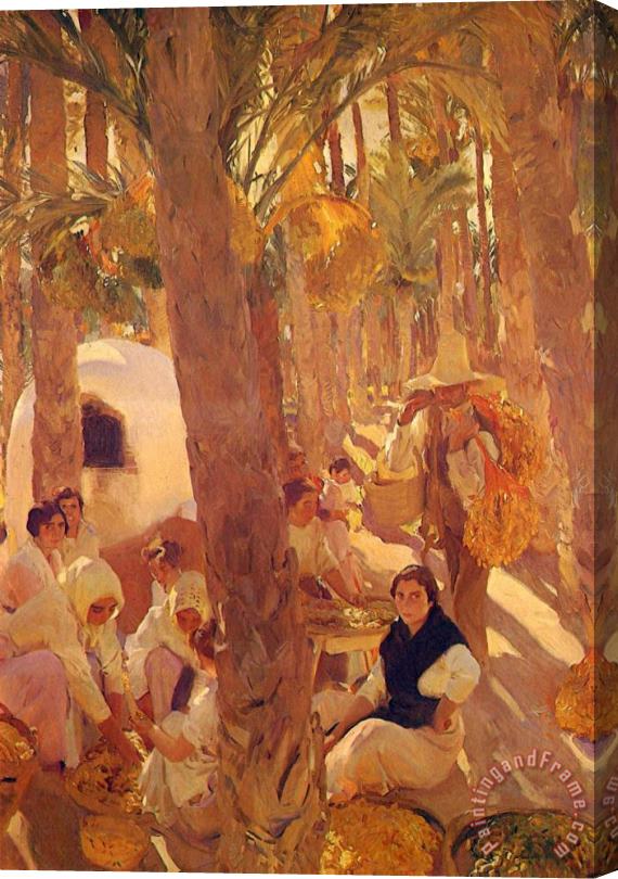Joaquin Sorolla y Bastida Palm Grove Stretched Canvas Painting / Canvas Art