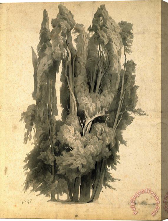Johann Wilhelm Schirmer Cypresses in The Park at Villa D'este in Tivoli Stretched Canvas Print / Canvas Art