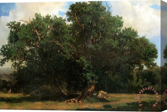 Johannes Bosboom Oak Trees Stretched Canvas Print / Canvas Art