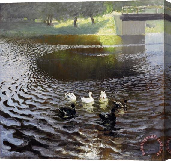 Johans Valters Ducks Stretched Canvas Print / Canvas Art