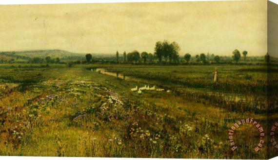 John Atkinson Grimshaw An Extensive Meadow Landscape with Geese by a Stream Stretched Canvas Painting / Canvas Art