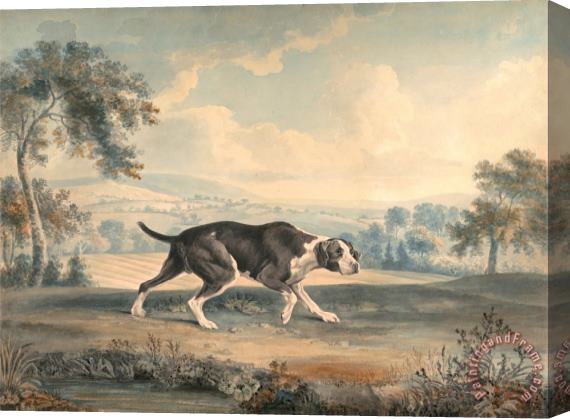 John Buckler The Spanish Pointer Stretched Canvas Painting / Canvas Art