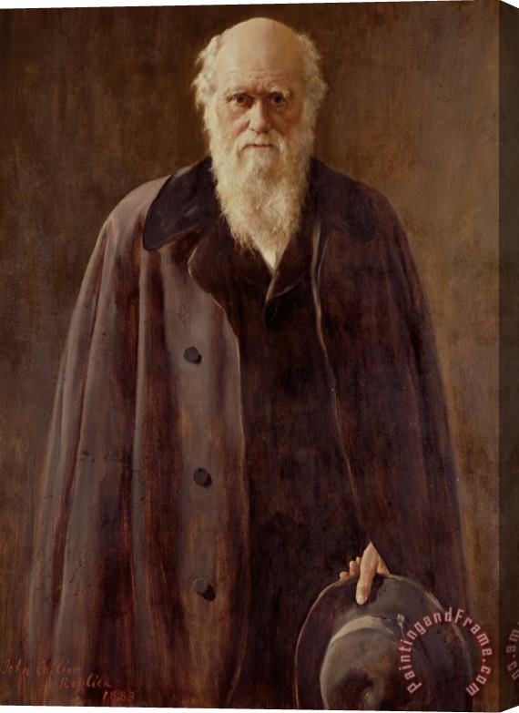 John Collier Portrait Of Charles Darwin Stretched Canvas Print / Canvas Art