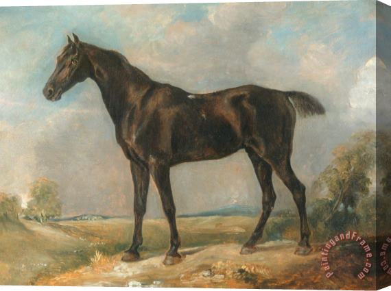 John Constable Golding Constable's Black Riding Horse Stretched Canvas Print / Canvas Art