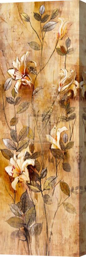 John Douglas Candlelight Lilies I Stretched Canvas Print / Canvas Art