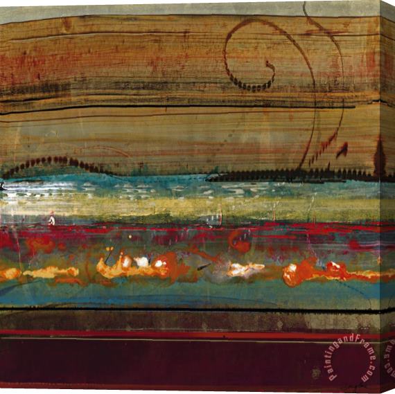 John Douglas Desert Melody II Stretched Canvas Print / Canvas Art