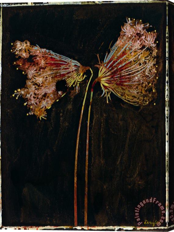 John Douglas Floral Negative II Stretched Canvas Painting / Canvas Art