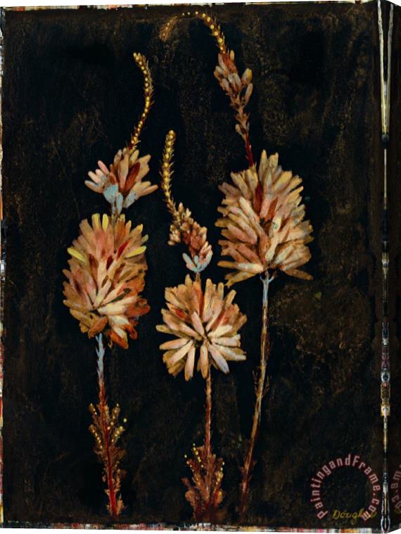 John Douglas Floral Negative Iv Stretched Canvas Painting / Canvas Art