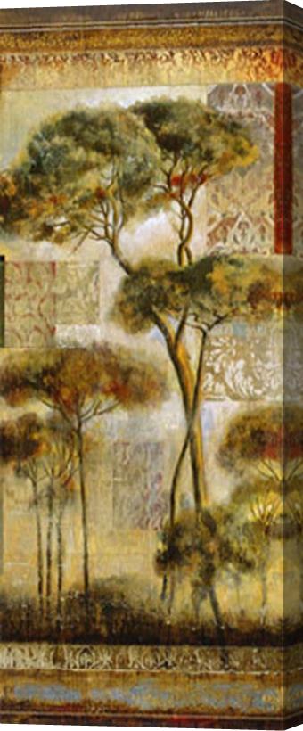 John Douglas Italian Arbor I Stretched Canvas Print / Canvas Art