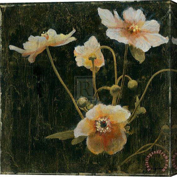 John Douglas Midsummer Night Bloom II Stretched Canvas Painting / Canvas Art