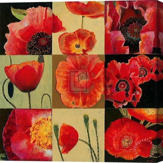 John Douglas Mirrored Blossoms II Stretched Canvas Print / Canvas Art