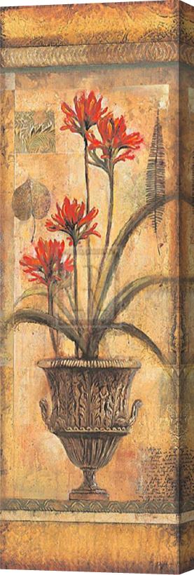 John Douglas Rojo Botanical Viii Stretched Canvas Print / Canvas Art