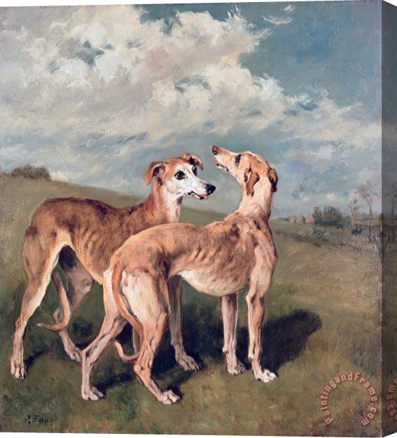 John Emms Greyhounds Stretched Canvas Print / Canvas Art