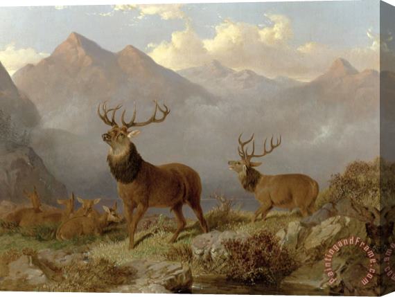 John Frederick Herring Jnr Stags And Hinds In A Highland Landscape Stretched Canvas Print / Canvas Art