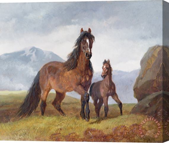 John Frederick Herring Snr A Welsh Mountain Mare and Foal Stretched Canvas Print / Canvas Art