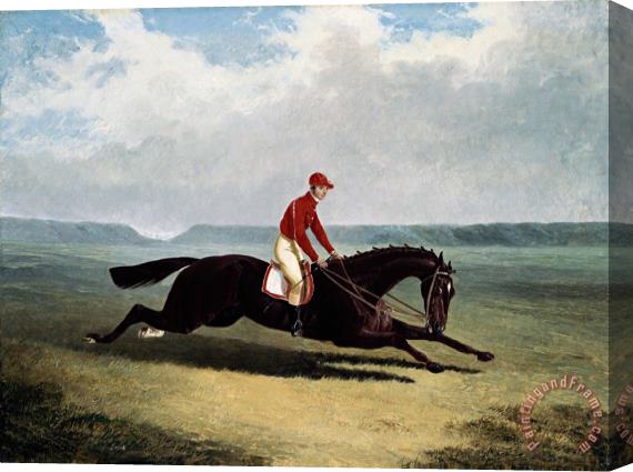 John Frederick Herring The Baron with Bumpy Up, at Newmarket Stretched Canvas Print / Canvas Art