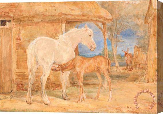 John Frederick Lewis Gray Mare And a Chestnut Foal Stretched Canvas Painting / Canvas Art