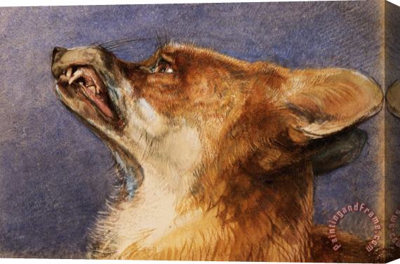John Frederick Lewis Head of a Fox Stretched Canvas Painting / Canvas Art